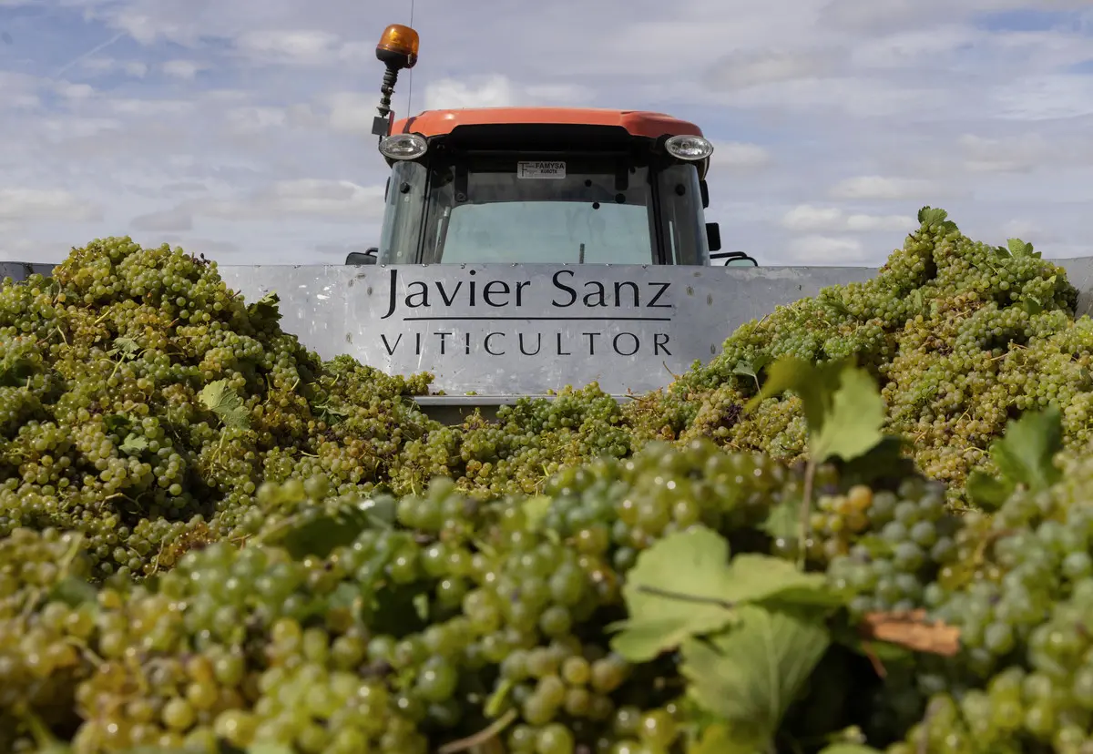 Javier Sanz Viticultor tractor y remolque.webp